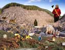 Forest Destruction