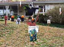Vote for Wanda the Witch