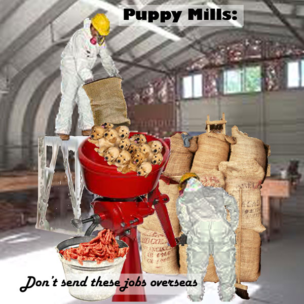 Puppy Mills